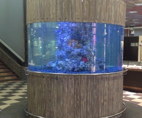 <span style="font-weight: bold;">Аквариум из оргстекла</span> 