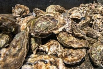 <span style="font-weight: bold;">Пример установки торгового аквариума </span>