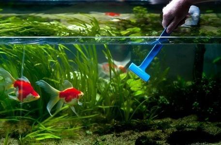 <span style="font-weight: bold;">Стеклянный аквариум Готовый аквариум</span>