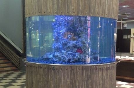 <span style="font-weight: bold;">Аквариум из оргстекла</span> 