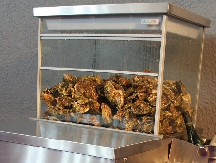 <span style="font-weight: bold;">Аквариум для торговли морепродуктами и рыбой </span>